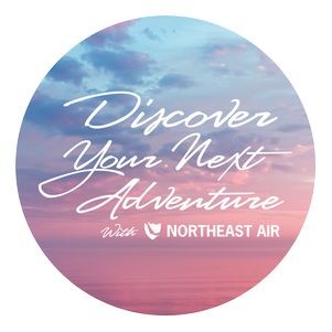 Circle Sticker | 3" dia. | White Vinyl | Permanent Adh Back | Digital